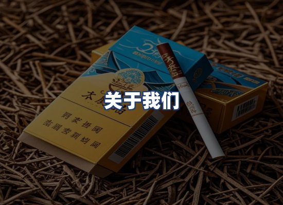 关于我们